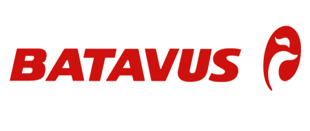 https://wibbens.nl/wp-content/uploads/2018/06/batavus-logo.jpg
